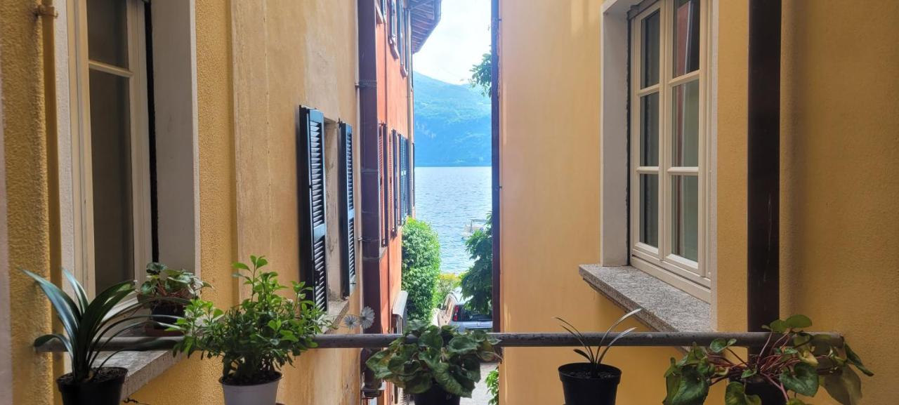 Mandello Riva Granda Apartment Mandello del Lario Bagian luar foto